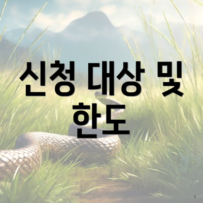 신청 대상 및 한도