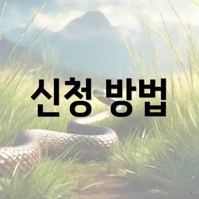 신청 방법