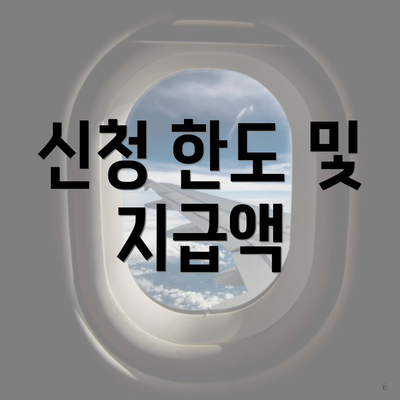 신청 한도 및 지급액