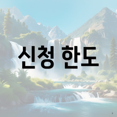 신청 한도