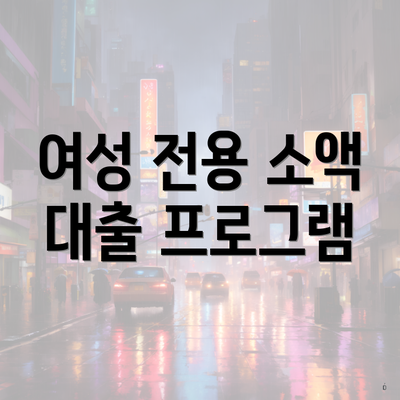 여성 전용 소액 대출 프로그램