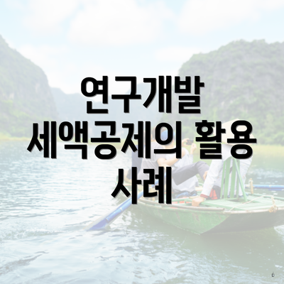 연구개발 세액공제의 활용 사례