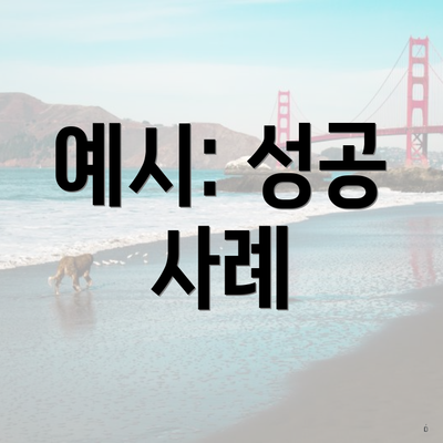 예시: 성공 사례