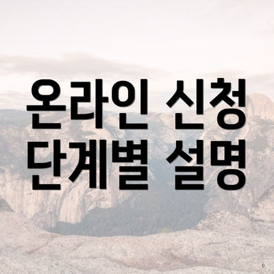 온라인 신청 단계별 설명