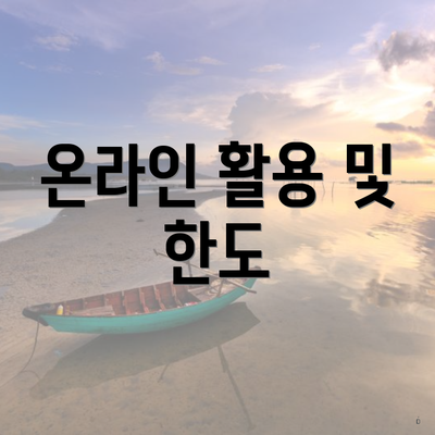 온라인 활용 및 한도