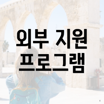 외부 지원 프로그램