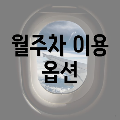 월주차 이용 옵션