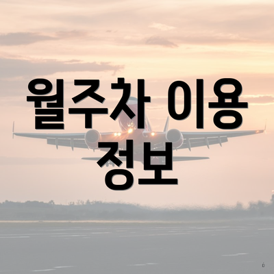 월주차 이용 정보