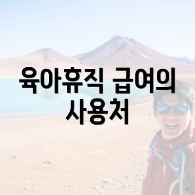 육아휴직 급여의 사용처