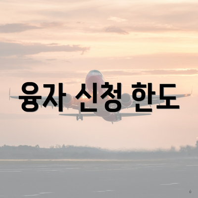 융자 신청 한도