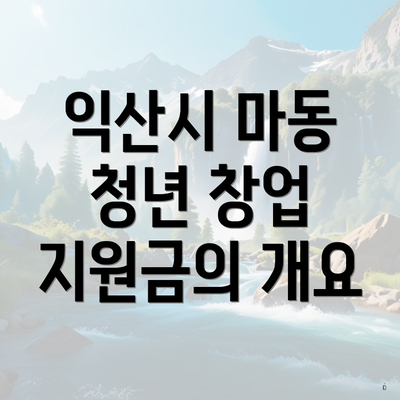 익산시 마동 청년 창업 지원금의 개요