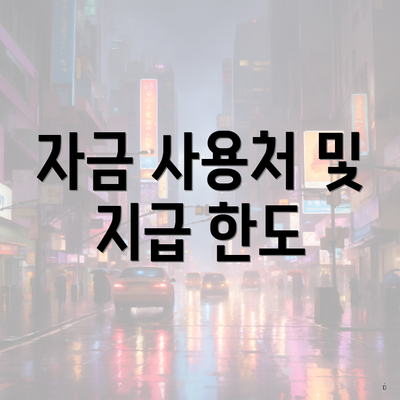 자금 사용처 및 지급 한도