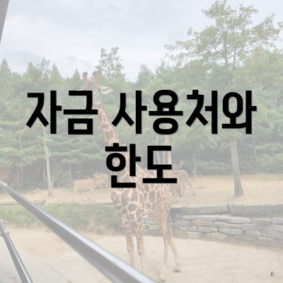 자금 사용처와 한도