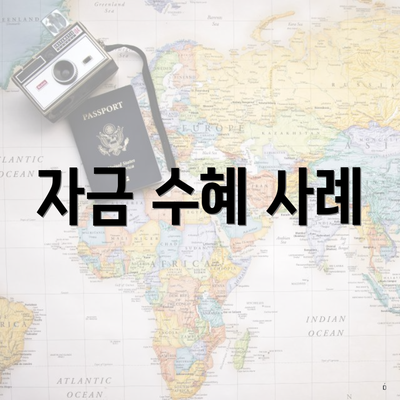 자금 수혜 사례