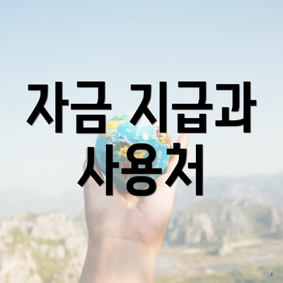 자금 지급과 사용처