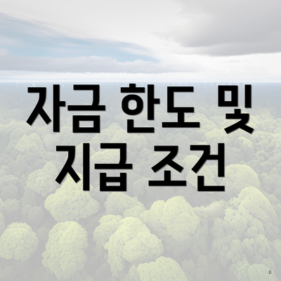 자금 한도 및 지급 조건