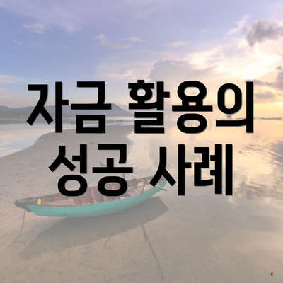 자금 활용의 성공 사례