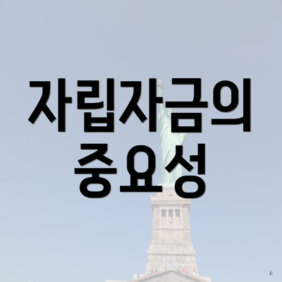 자립자금의 중요성