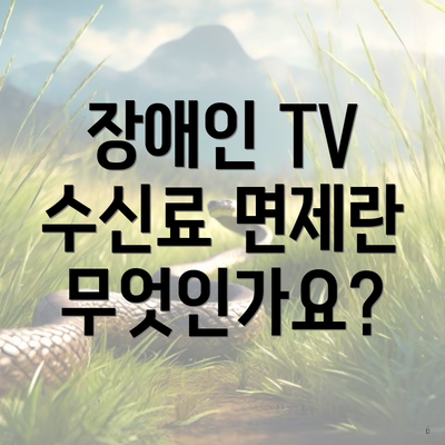 장애인 TV 수신료 면제란 무엇인가요?