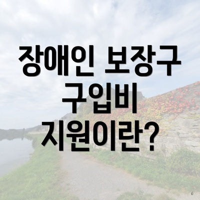 장애인 보장구 구입비 지원이란?