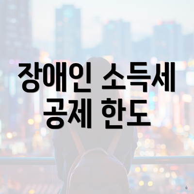 장애인 소득세 공제 한도