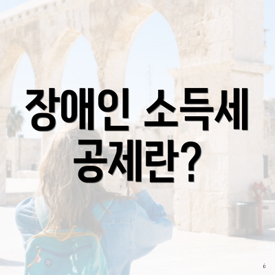 장애인 소득세 공제란?