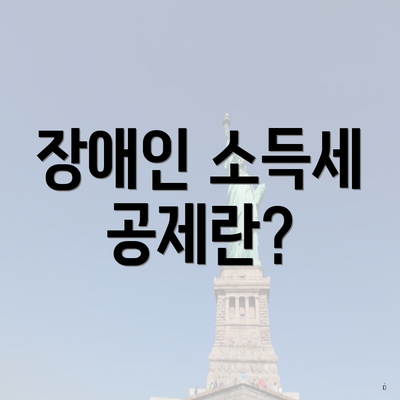장애인 소득세 공제란?