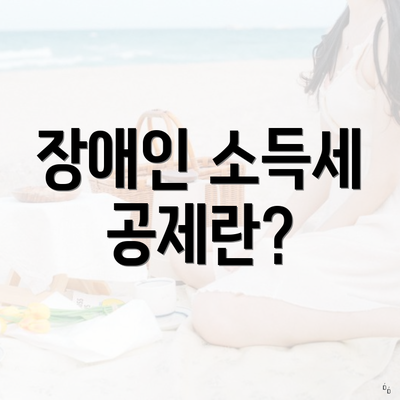 장애인 소득세 공제란?