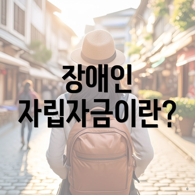 장애인 자립자금이란?
