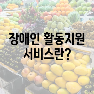 장애인 활동지원 서비스란?