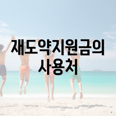 재도약지원금의 사용처