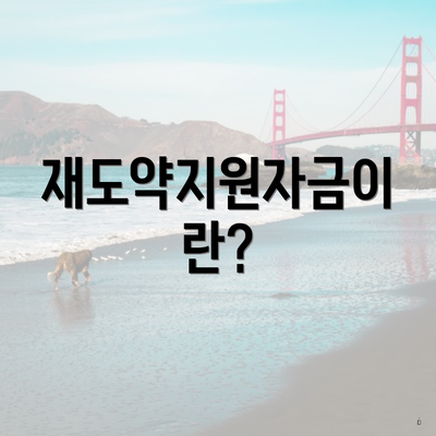 재도약지원자금이란?