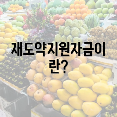 재도약지원자금이란?