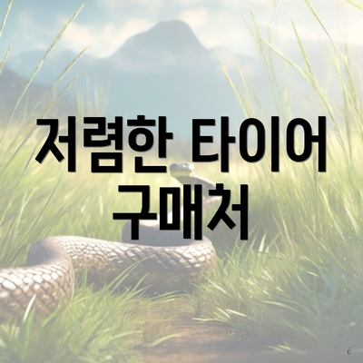 저렴한 타이어 구매처