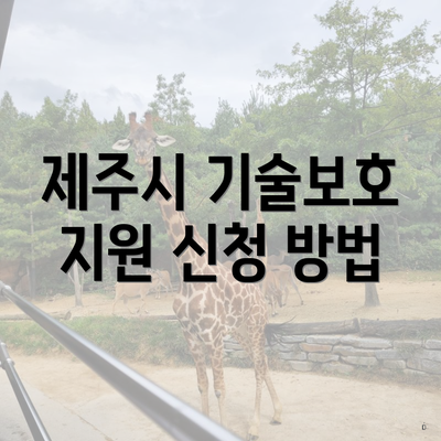 제주시 기술보호 지원 신청 방법