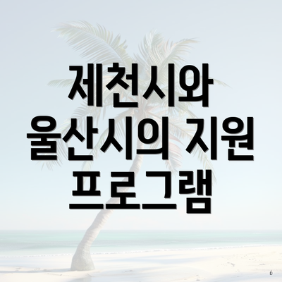 제천시와 울산시의 지원 프로그램