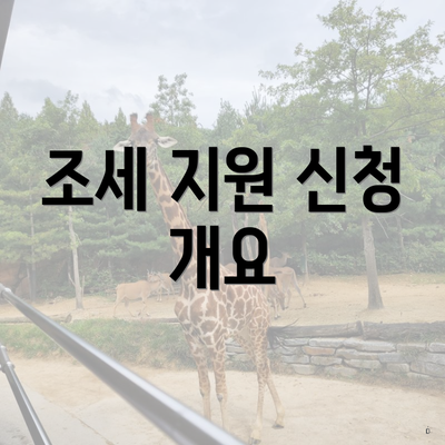 조세 지원 신청 개요