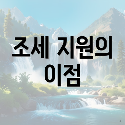 조세 지원의 이점