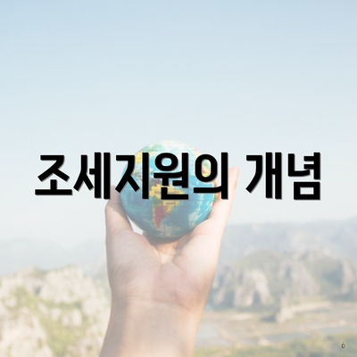 조세지원의 개념
