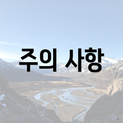 주의 사항