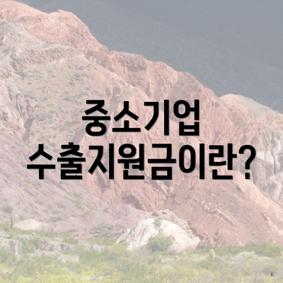 중소기업 수출지원금이란?