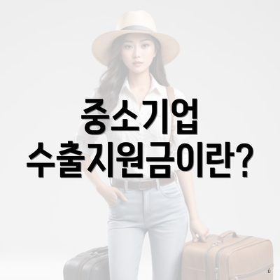 중소기업 수출지원금이란?