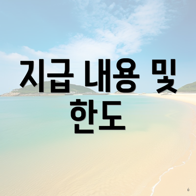 지급 내용 및 한도