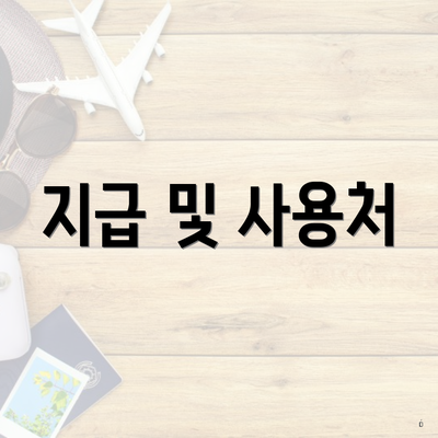 지급 및 사용처