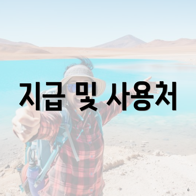 지급 및 사용처