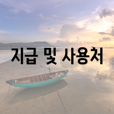 지급 및 사용처