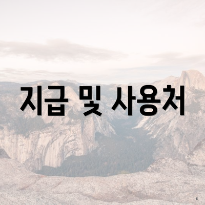 지급 및 사용처