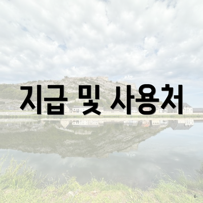 지급 및 사용처