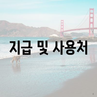 지급 및 사용처