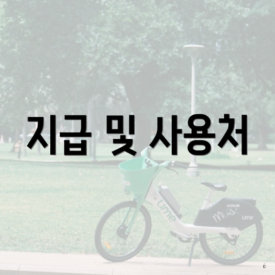 지급 및 사용처